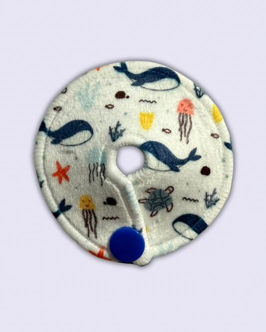 Trajectoire de la sonde, sous l'eau.
