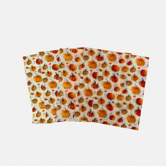 Sondepleister | Pompoentjes | 5-Pack