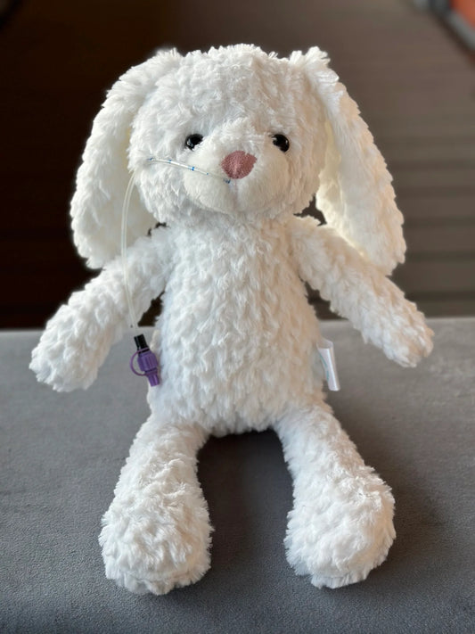 Lapin blanc